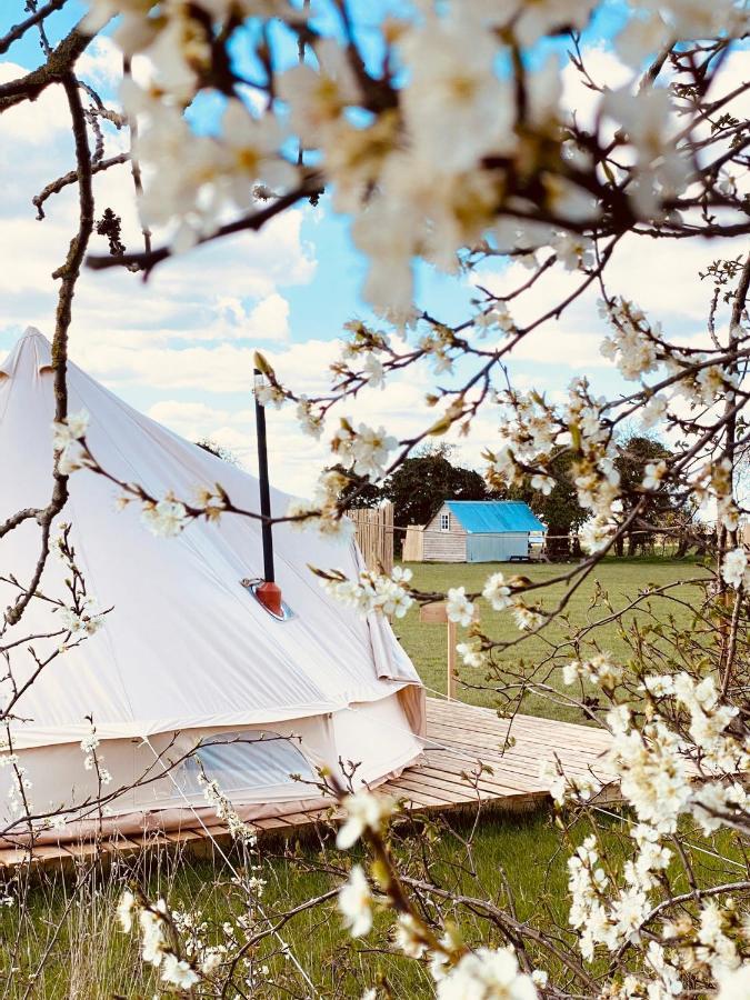 Fen Meadows Glamping - Luxury And Bell Tents Campsite *